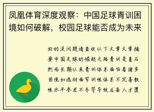 凤凰体育深度观察：中国足球青训困境如何破解，校园足球能否成为未来希望